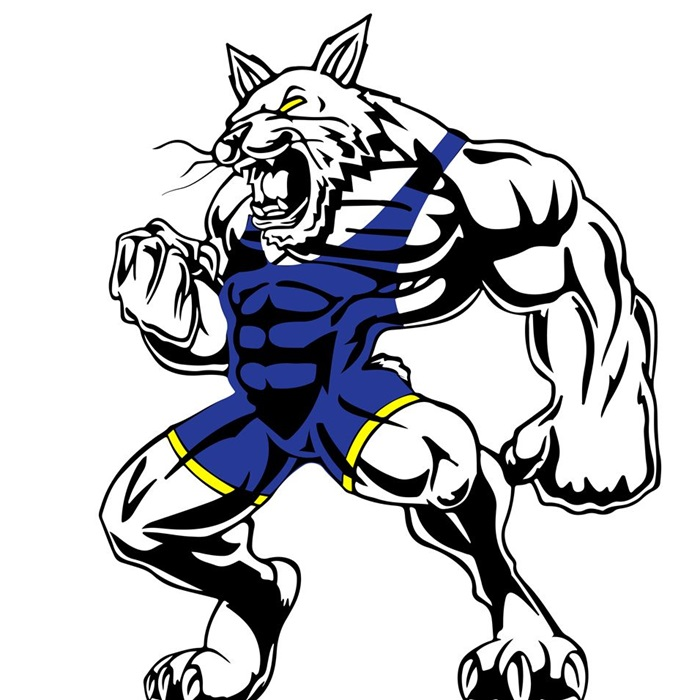 Wrestling Sectional Ticket Information Benton Community School District