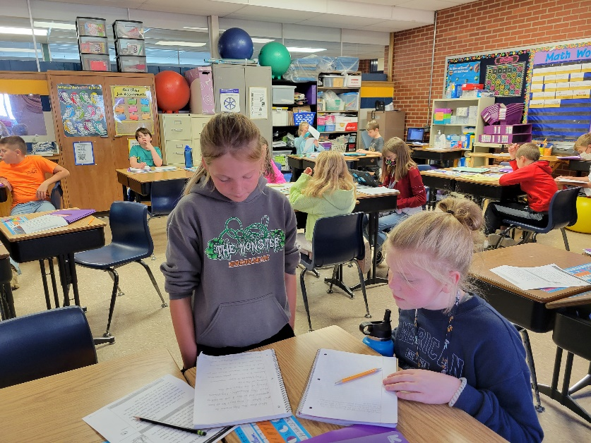 Flag Essay